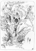 Laden Sie das Bild in den Galerie-Viewer, Lesebilder: Ostern und Auferstehung, Flau, Blatt 25 der Phänomene