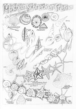 Laden Sie das Bild in den Galerie-Viewer, Lesebilder: MUSCHELN - SCHNECKEN - STERNE, Blatt 6 aus der Mappe