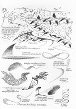 Laden Sie das Bild in den Galerie-Viewer, Flug-Bilder