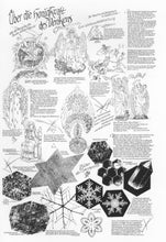 Laden Sie das Bild in den Galerie-Viewer, Über die Honigkraft des Denkens